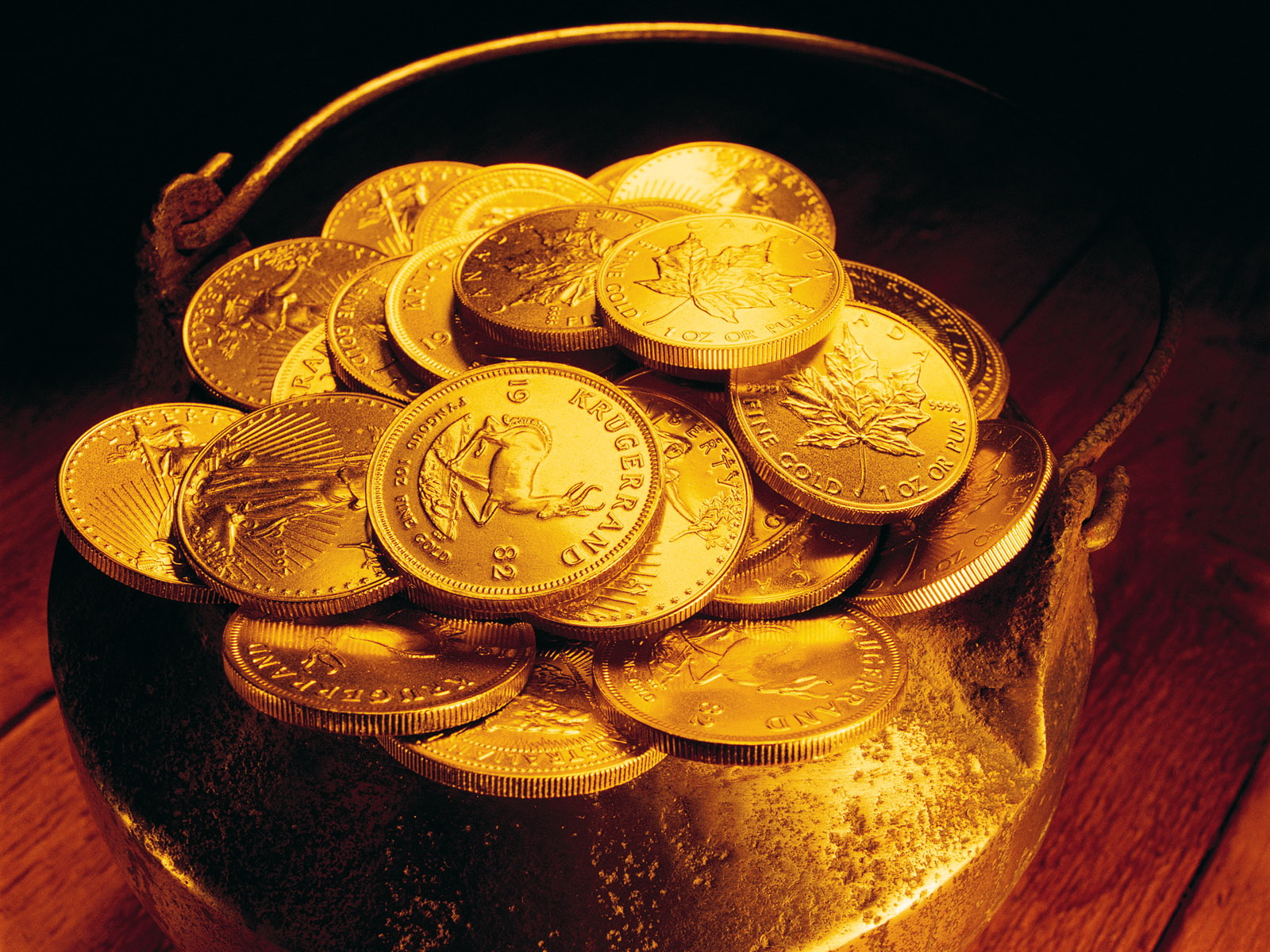 Case for Gold Dinar Idea
